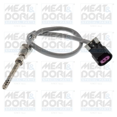 Sensor, exhaust gas temperature